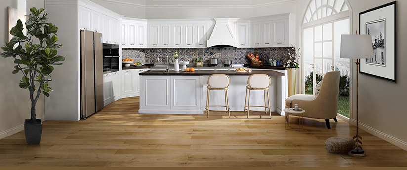 《長江保護法》實施在即,世環會為保護長江生態環境助力- 《長江保護法》實施在即,世環會為保護長江生態環境助力-