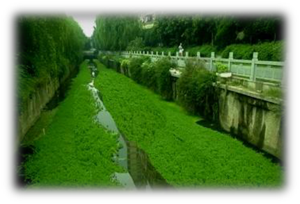 我國水生態環境修復現狀分析解讀(下)- 我國水生態環境修復現狀分析解讀(下)-