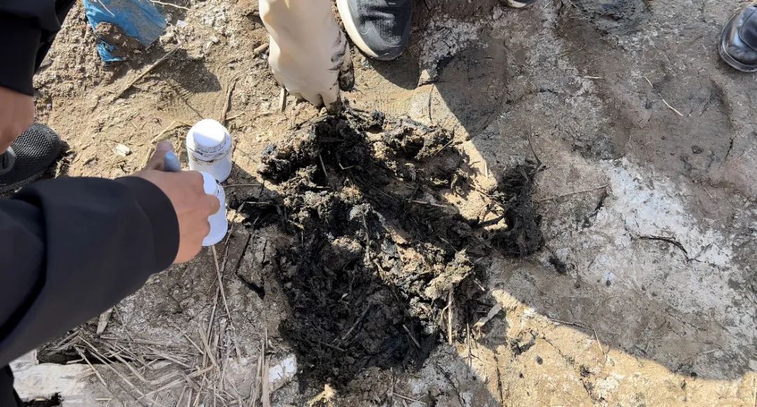 消失的污泥去哪兒了？-