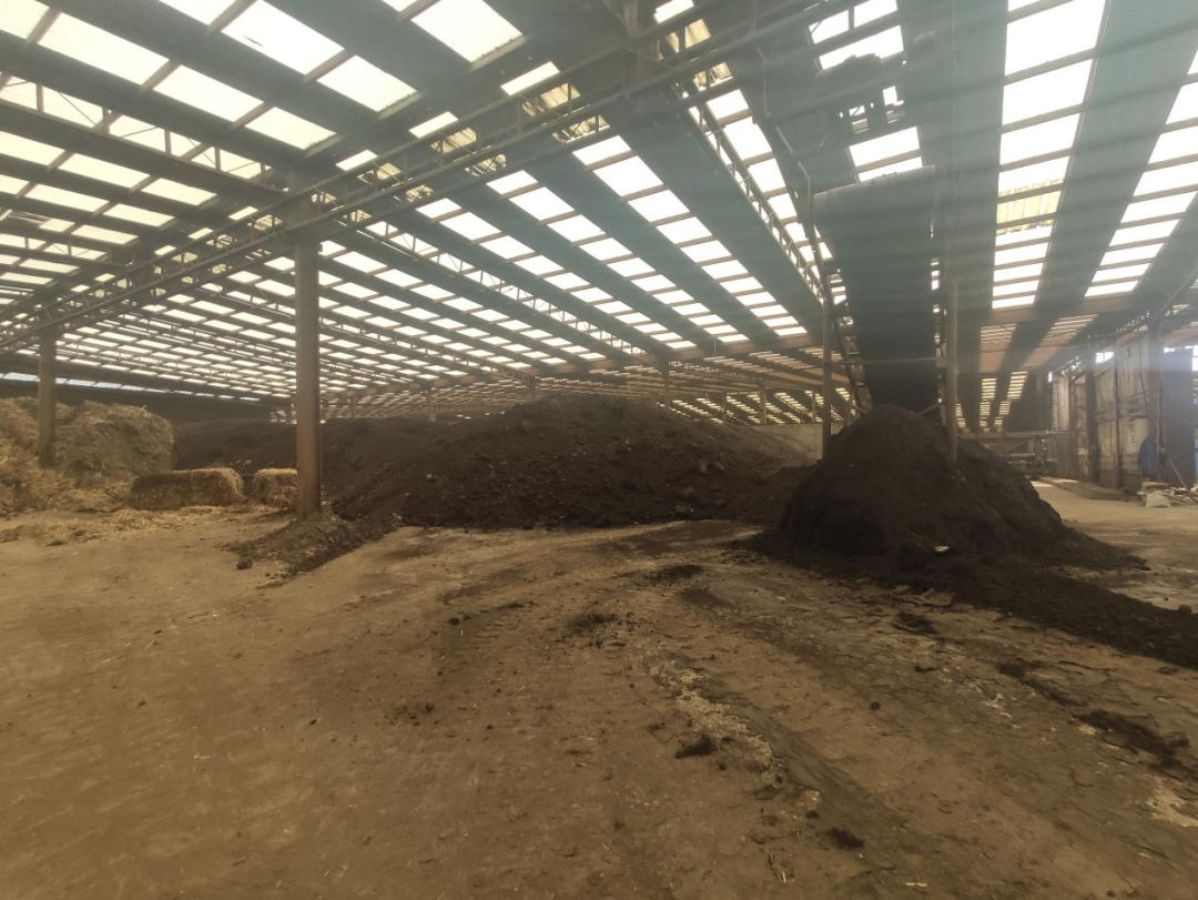 消失的污泥去哪兒了？-