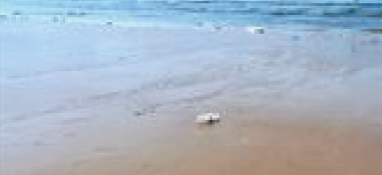 在年產量突破1億噸前，破解污泥“圍城之殤”！