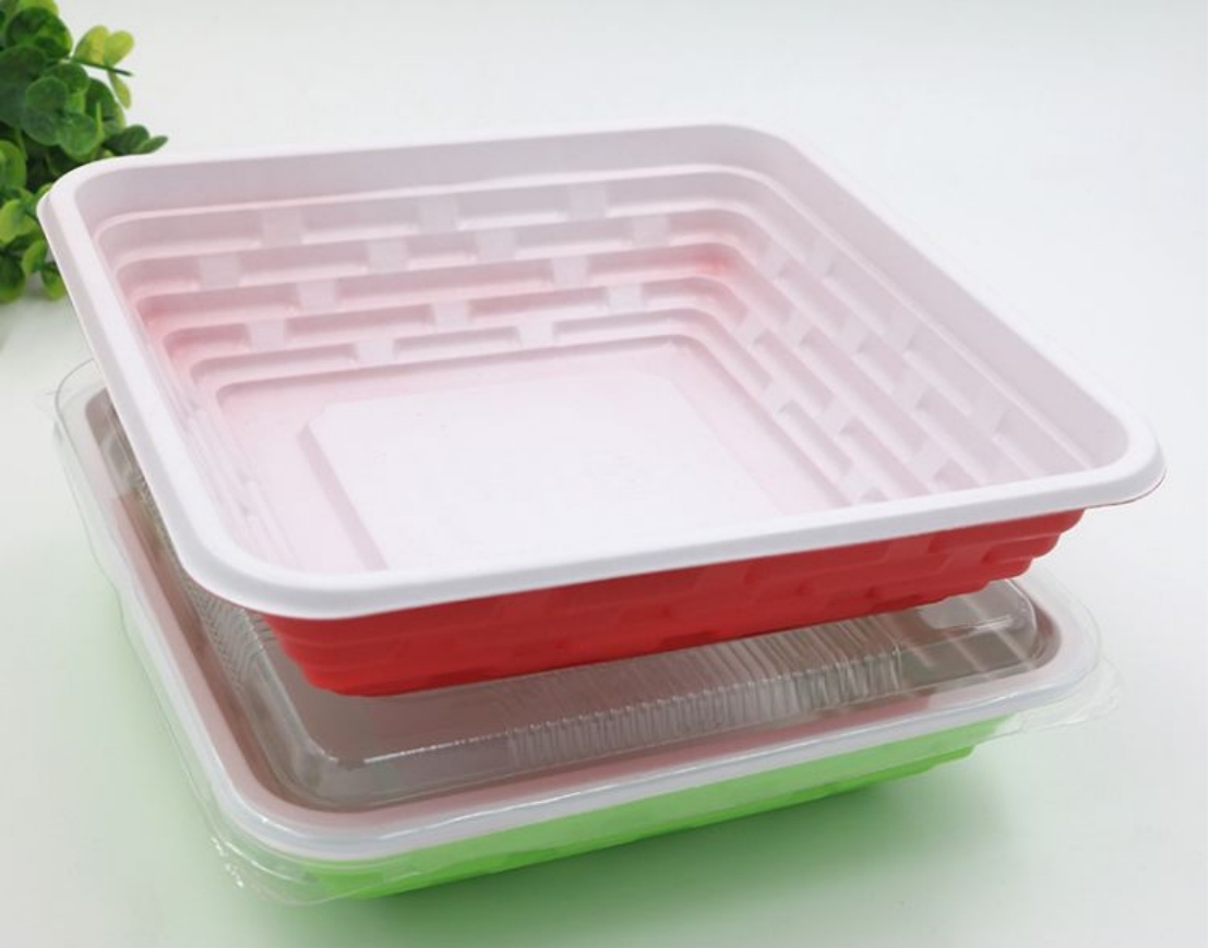 上海環(huán)保展|中國塑料餐盒回收利用取得突破性進展